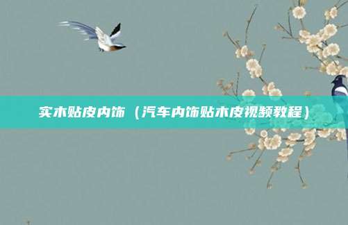 实木贴皮内饰（汽车内饰贴木皮视频教程）