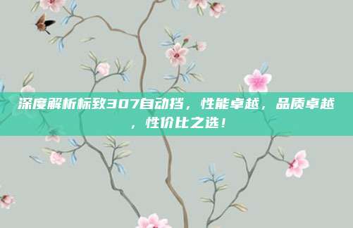 深度解析标致307自动挡,性能卓越,品质卓越,性价比之选!