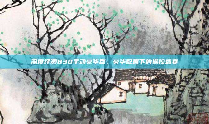 深度评测B30手动豪华型，豪华配置下的操控盛宴