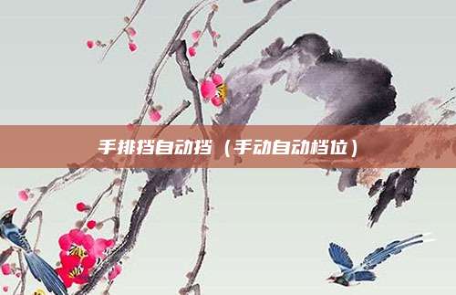 手排挡自动挡（手动自动档位）