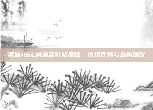 奥迪A6L减震器价格揭秘,市场行情与选购建议