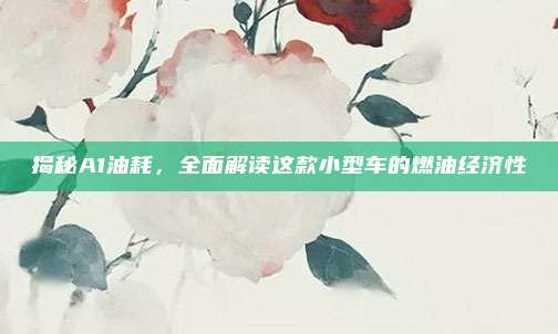 揭秘A1油耗,全面解读这款小型车的燃油经济性