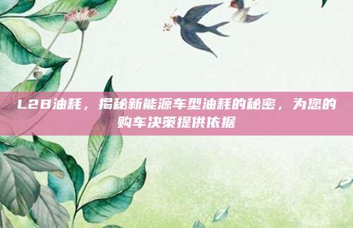 L2B油耗,揭秘新能源车型油耗的秘密,为您的购车决策提供依据