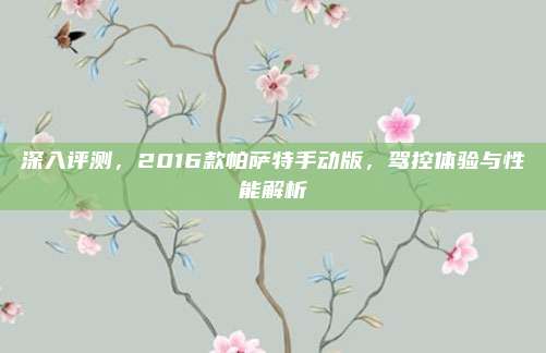 深入评测,2016款帕萨特手动版,驾控体验与性能解析