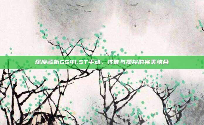 深度解析GS41.5T手动,性能与操控的完美结合