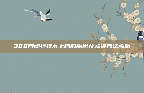 308自动挡挂不上档的原因及解决方法解析