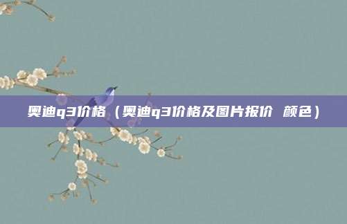 奥迪q3价格（奥迪q3价格及图片报价 颜色）