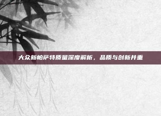大众新帕萨特质量深度解析,品质与创新并重