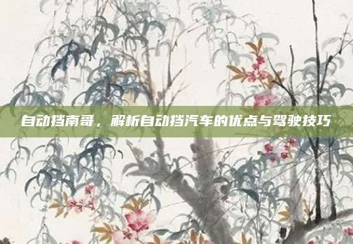 自动挡南哥,解析自动挡汽车的优点与驾驶技巧