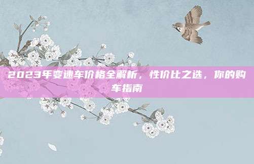 2023年变速车价格全解析，性价比之选，你的购车指南