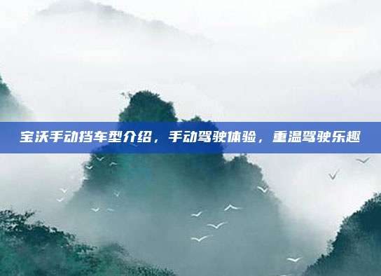 宝沃手动挡车型介绍,手动驾驶体验,重温驾驶乐趣