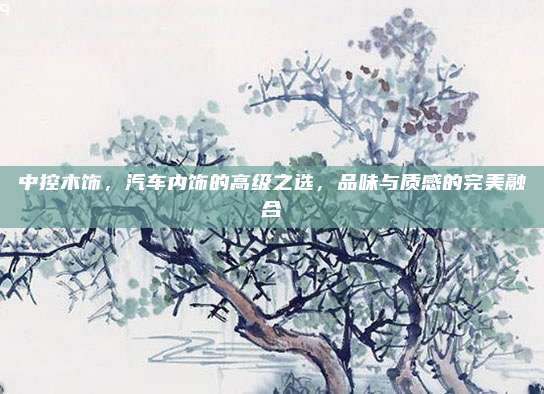 中控木饰，汽车内饰的高级之选，品味与质感的完美融合