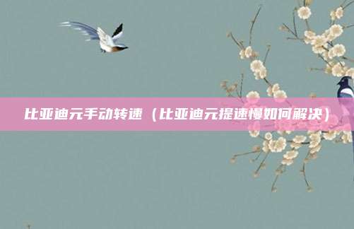 比亚迪元手动转速（比亚迪元提速慢如何解决）
