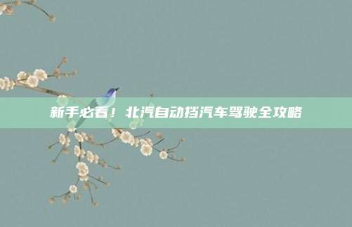 新手必看!北汽自动挡汽车驾驶全攻略