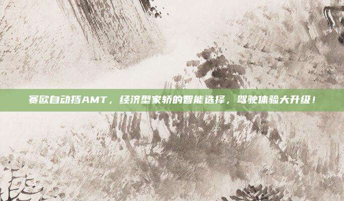 赛欧自动挡AMT,经济型家轿的智能选择,驾驶体验大升级!