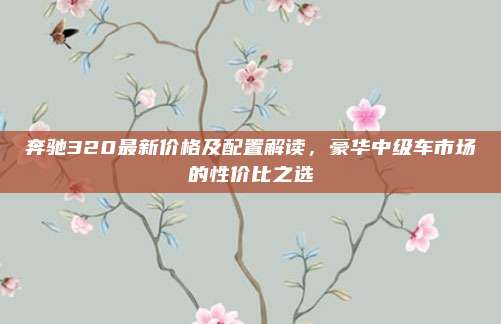 奔驰320最新价格及配置解读，豪华中级车市场的性价比之选