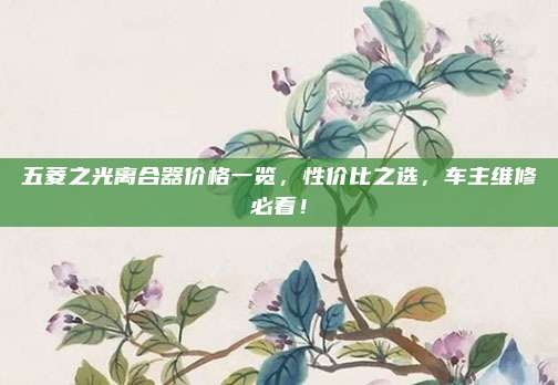 五菱之光离合器价格一览，性价比之选，车主维修必看！