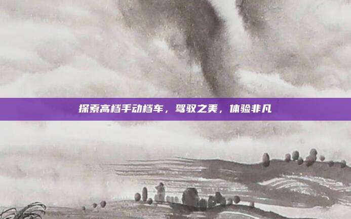 探索高档手动档车,驾驭之美,体验非凡