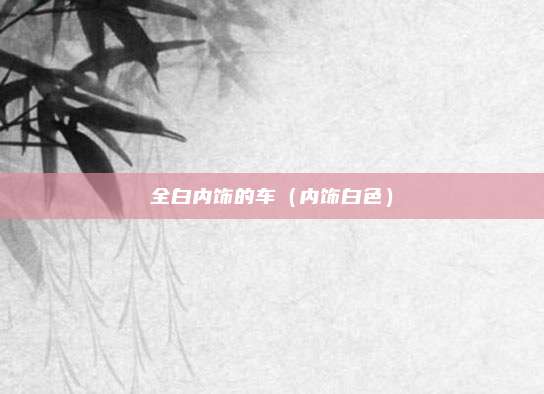 全白内饰的车(内饰白色)