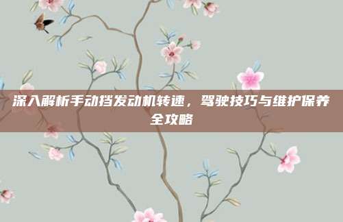 深入解析手动挡发动机转速,驾驶技巧与维护保养全攻略