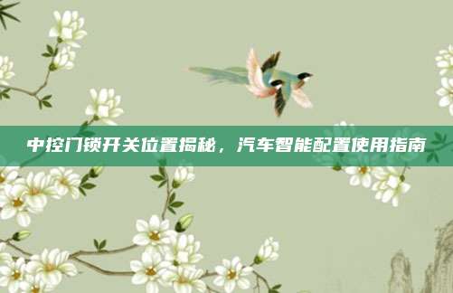 中控门锁开关位置揭秘,汽车智能配置使用指南