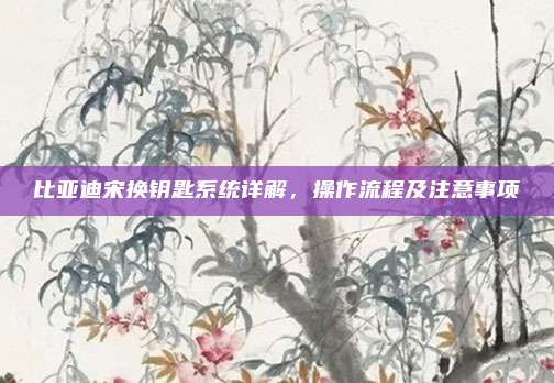 比亚迪宋换钥匙系统详解,操作流程及注意事项