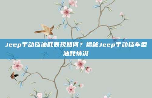 Jeep手动挡油耗表现如何？揭秘Jeep手动挡车型油耗情况