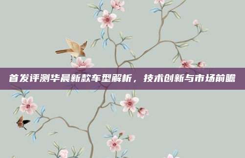 首发评测华晨新款车型解析,技术创新与市场前瞻