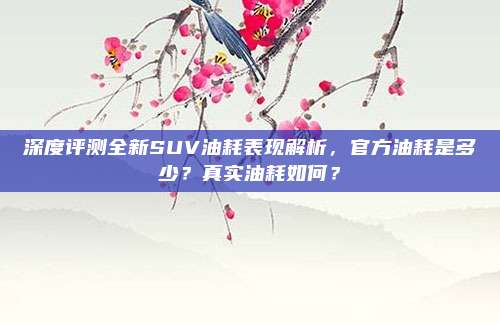 深度评测全新SUV油耗表现解析，官方油耗是多少？真实油耗如何？