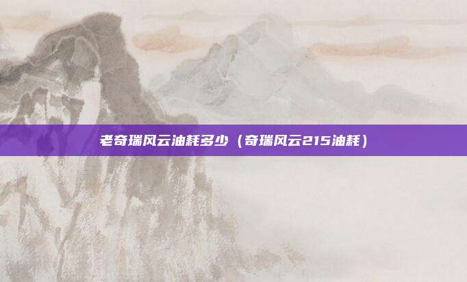 老奇瑞风云油耗多少（奇瑞风云215油耗）