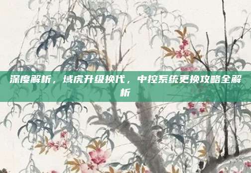 深度解析,域虎升级换代,中控系统更换攻略全解析