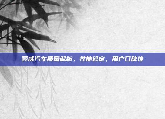 骊威汽车质量解析，性能稳定，用户口碑佳