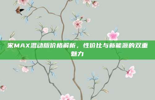 宋MAX混动版价格解析,性价比与新能源的双重魅力
