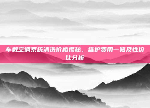 车载空调系统清洗价格揭秘，维护费用一览及性价比分析