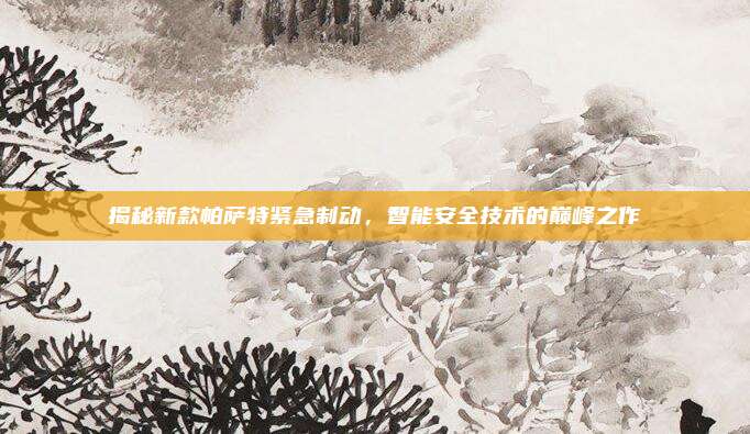 揭秘新款帕萨特紧急制动，智能安全技术的巅峰之作