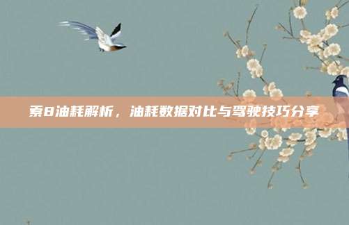 索8油耗解析,油耗数据对比与驾驶技巧分享