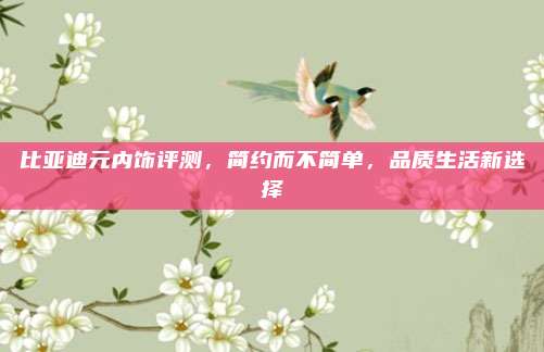 比亚迪元内饰评测,简约而不简单,品质生活新选择