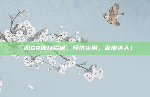 三阳GR油耗揭秘,经济实用,省油达人!