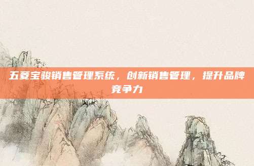 五菱宝骏销售管理系统,创新销售管理,提升品牌竞争力