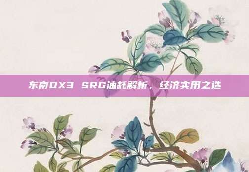 东南DX3 SRG油耗解析,经济实用之选