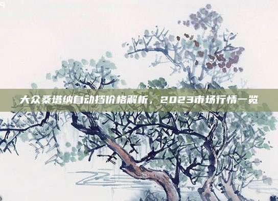 大众桑塔纳自动挡价格解析,2023市场行情一览