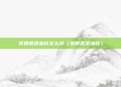 英朗朗逸油耗怎么样（英朗真是油耗）