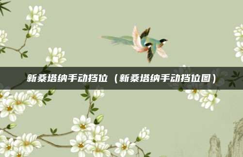 新桑塔纳手动挡位（新桑塔纳手动挡位图）