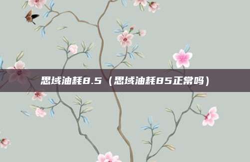 思域油耗8.5（思域油耗85正常吗）