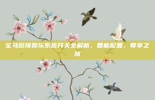 宝马后排娱乐系统开关全解析,智能配置,尊享之旅
