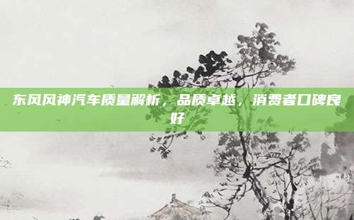 东风风神汽车质量解析,品质卓越,消费者口碑良好