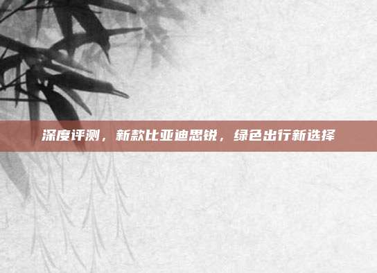 深度评测,新款比亚迪思锐,绿色出行新选择