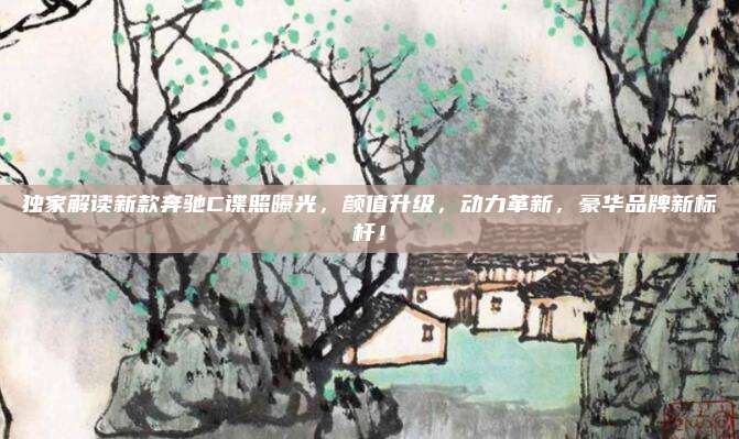 独家解读新款奔驰C谍照曝光，颜值升级，动力革新，豪华品牌新标杆！