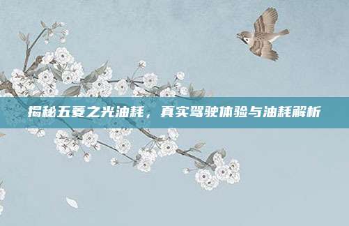 揭秘五菱之光油耗,真实驾驶体验与油耗解析