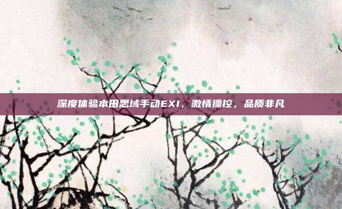 深度体验本田思域手动EXI,激情操控,品质非凡